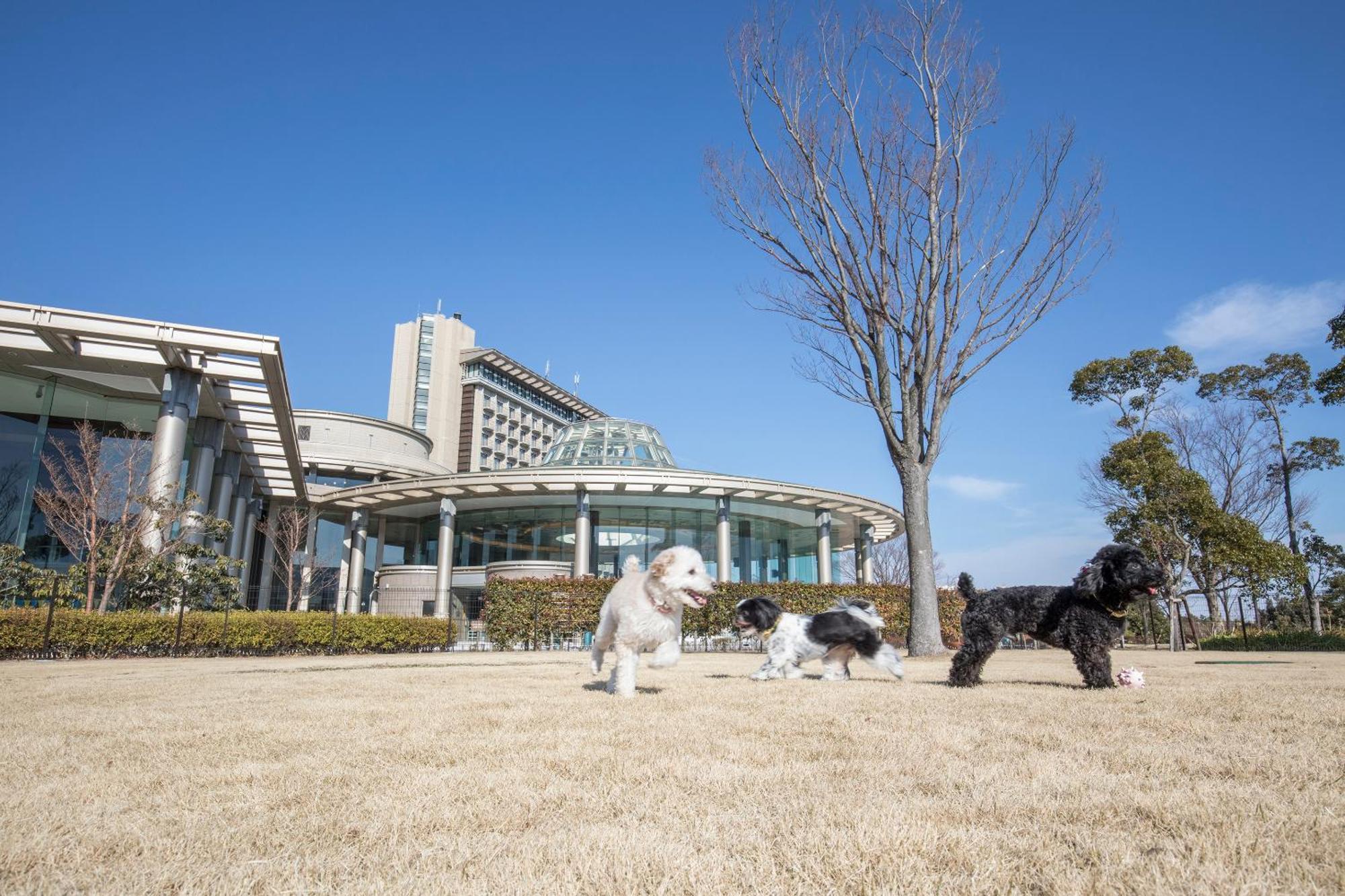 Hilton Odawara Resort & Spa Bagian luar foto